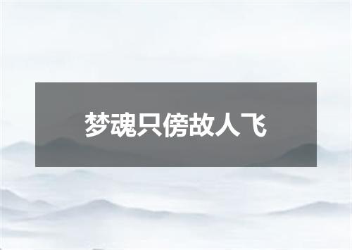 梦魂只傍故人飞
