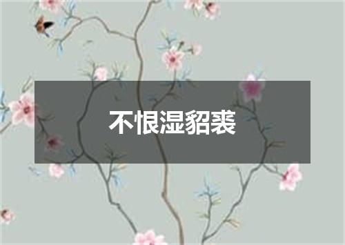 不恨湿貂裘