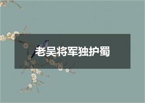 老吴将军独护蜀