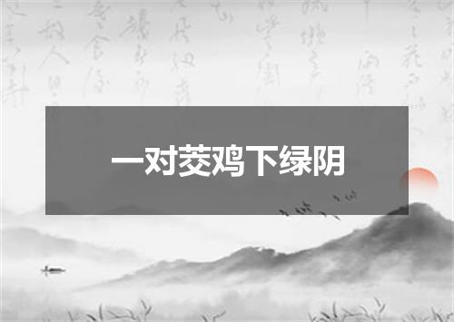 一对茭鸡下绿阴