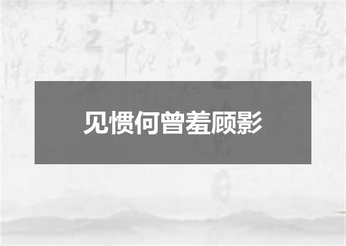 见惯何曾羞顾影