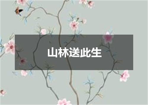 山林送此生