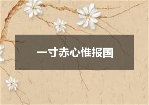 一寸赤心惟报国