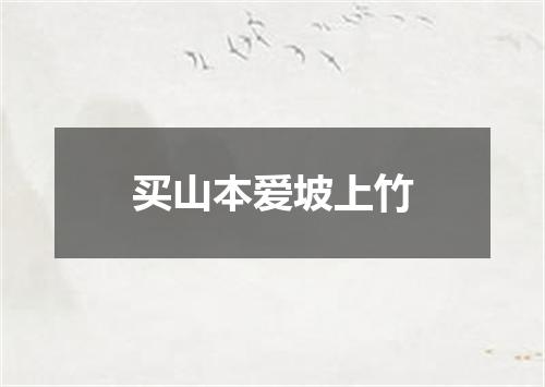 买山本爱坡上竹