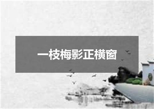 一枝梅影正横窗