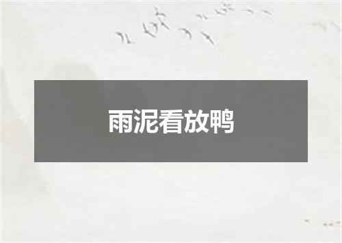 雨泥看放鸭