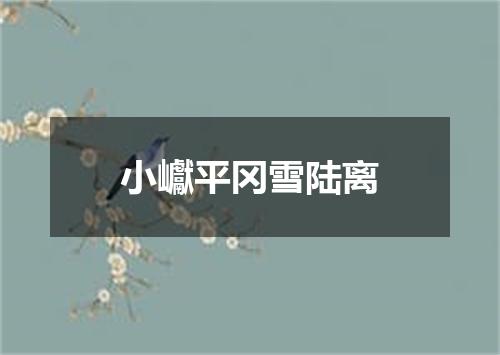 小巘平冈雪陆离