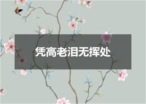 凭高老泪无挥处