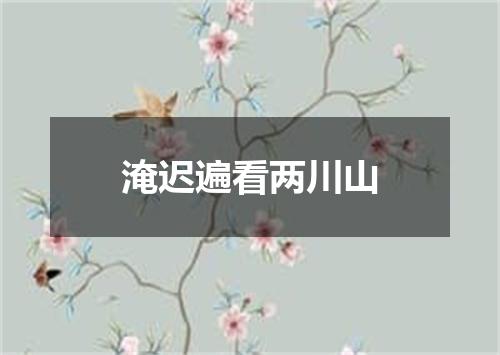 淹迟遍看两川山