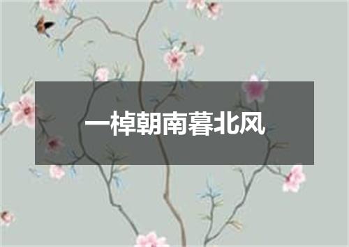 一棹朝南暮北风