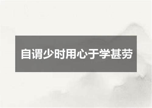 自谓少时用心于学甚劳