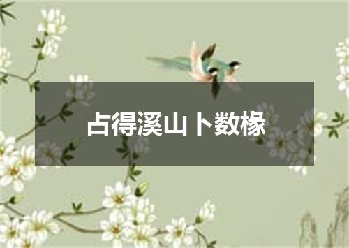 占得溪山卜数椽