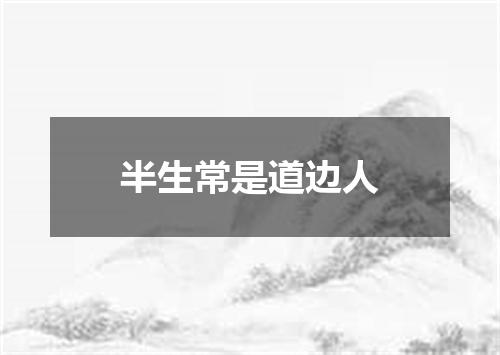 半生常是道边人