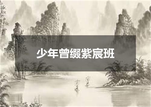 少年曾缀紫宸班