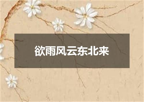 欲雨风云东北来