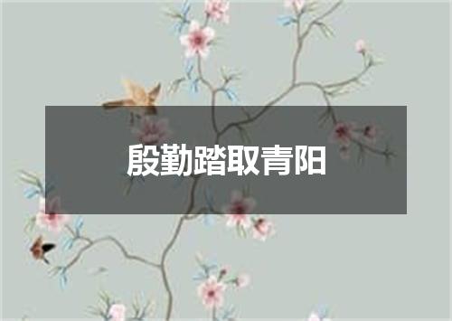 殷勤踏取青阳