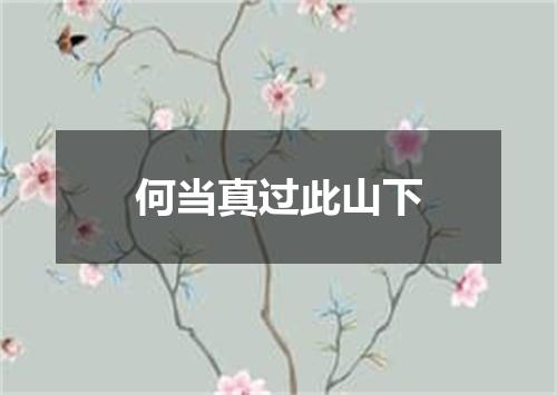 何当真过此山下