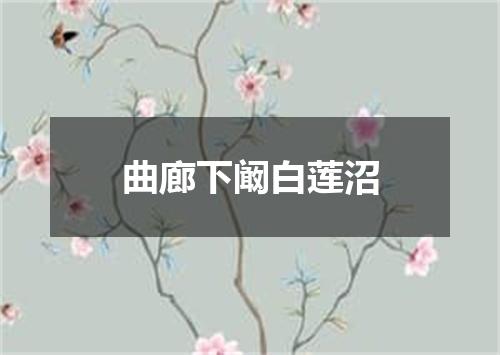 曲廊下阚白莲沼