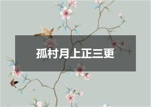 孤村月上正三更