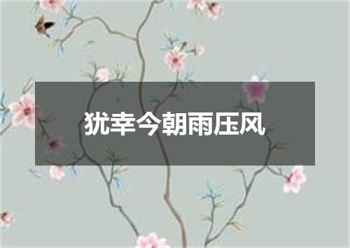 犹幸今朝雨压风