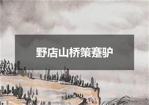 野店山桥策蹇驴