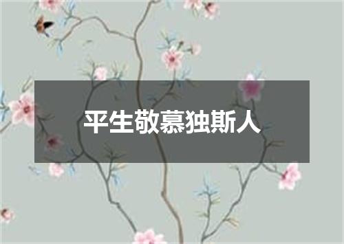 平生敬慕独斯人
