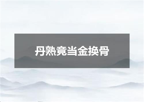丹熟竟当金换骨