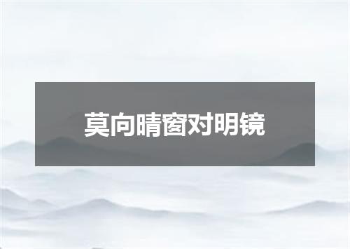 莫向晴窗对明镜