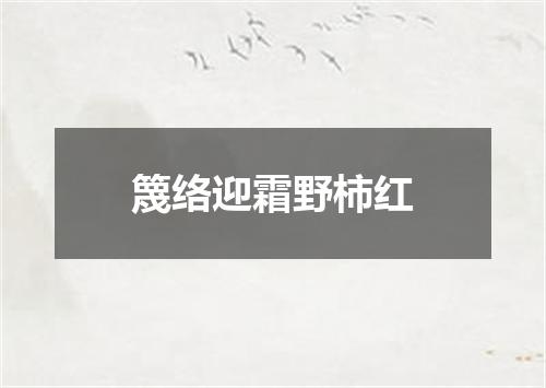 篾络迎霜野柿红