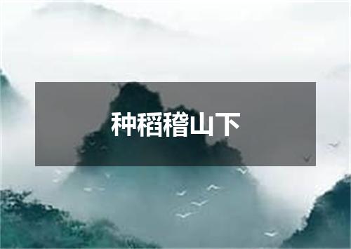 种稻稽山下