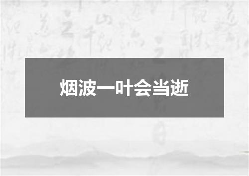 烟波一叶会当逝