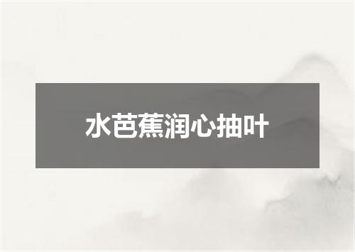 水芭蕉润心抽叶