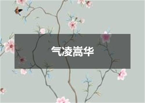 气凌嵩华