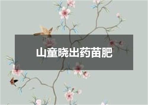 山童晓出药苗肥