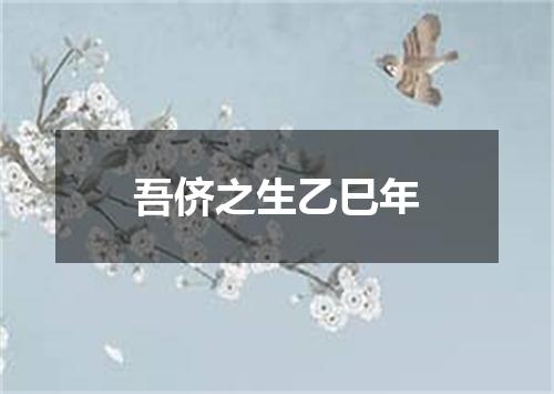 吾侪之生乙巳年