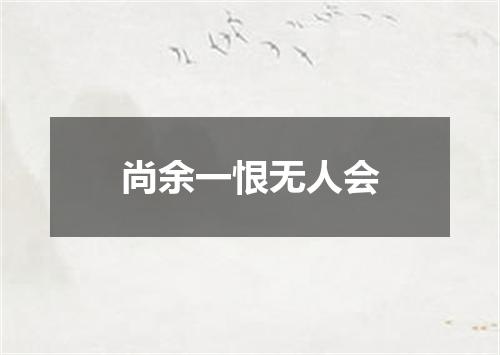 尚余一恨无人会