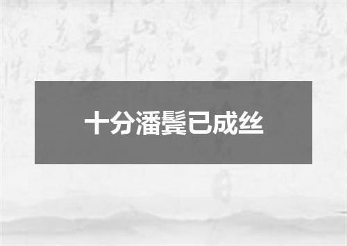 十分潘鬓已成丝