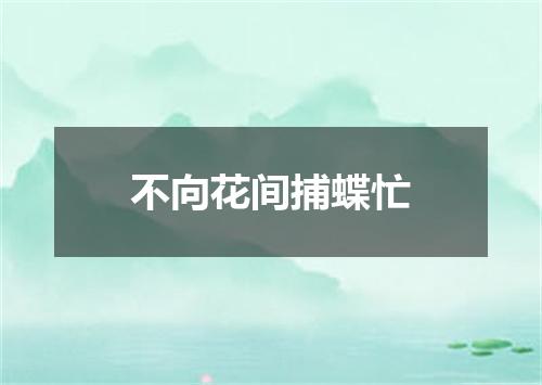 不向花间捕蝶忙