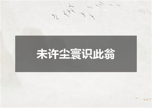 未许尘寰识此翁