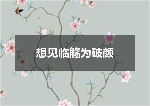 想见临觞为破颜