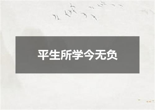 平生所学今无负
