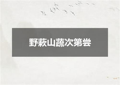 野蔌山蔬次第尝
