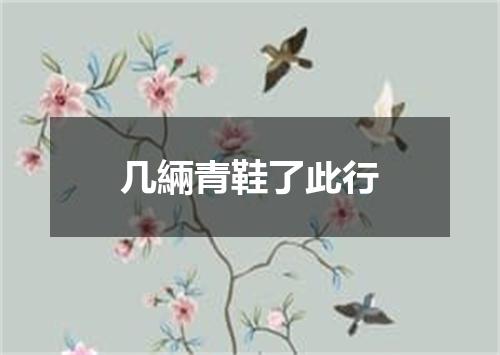 几緉青鞋了此行