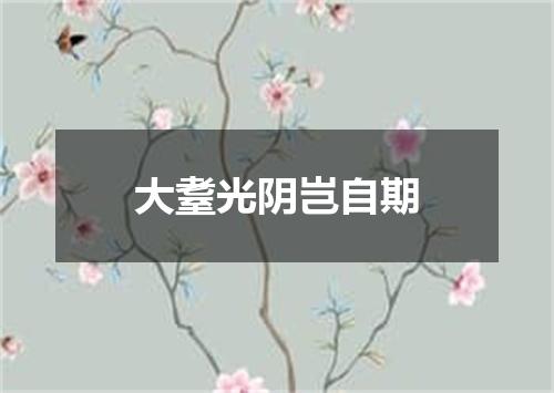 大耋光阴岂自期