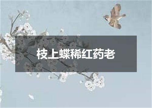 枝上蝶稀红药老