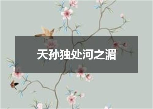 天孙独处河之湄