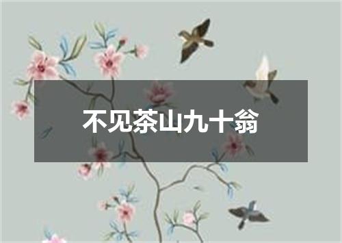 不见茶山九十翁