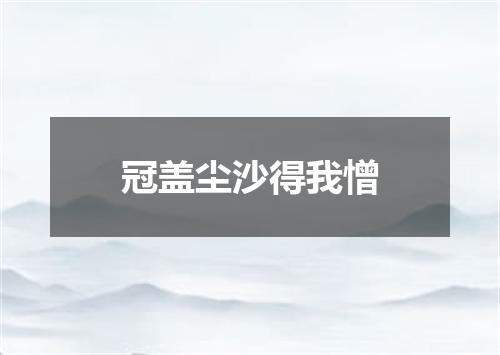 冠盖尘沙得我憎