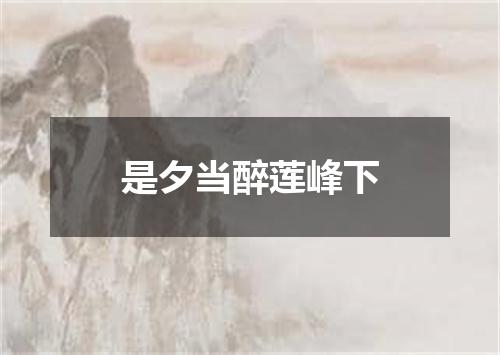 是夕当醉莲峰下