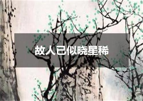故人已似晓星稀